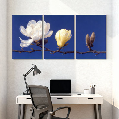 Ensemble de 3 impressions sur toile Magnolia