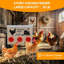 Boîte à nourriture automatique pour poulets