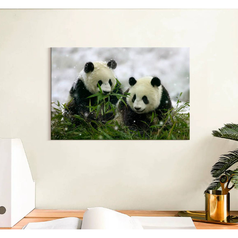 Hiver Pandas, H 8 po x l 12 po