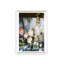 Palm Beach. Morgenthal Fredericks Window Reflection Print