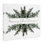 "Festive Fir", art mural sur toile par Susan Ball