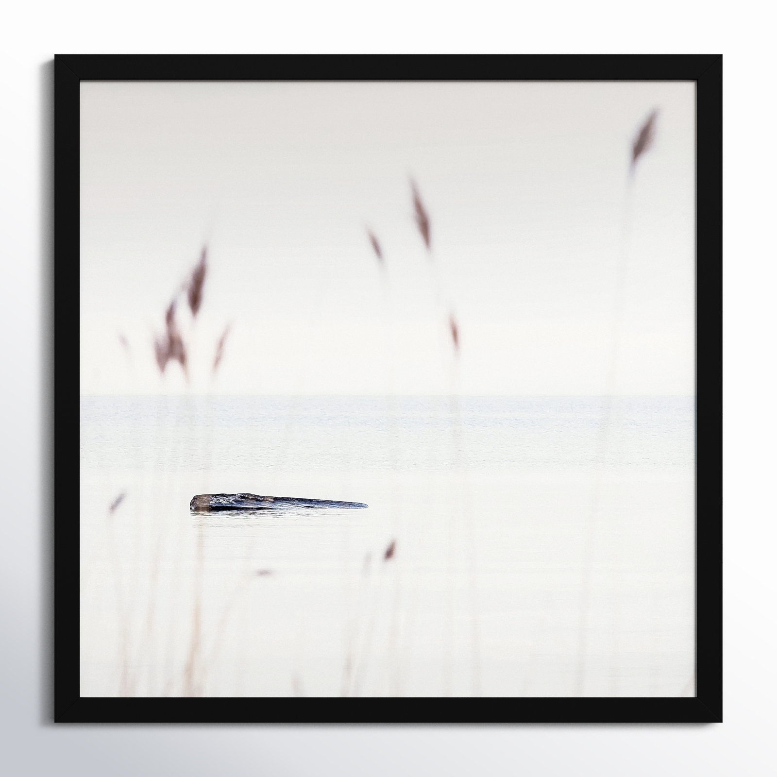 Georgian Bay Shore by Peter Dušek, 44" H x 44" W x 1.25" D, Black