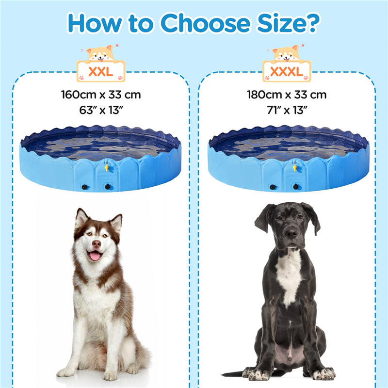 Grande piscine pliable pour chien avec arroseur, L 71 po x H 13 po