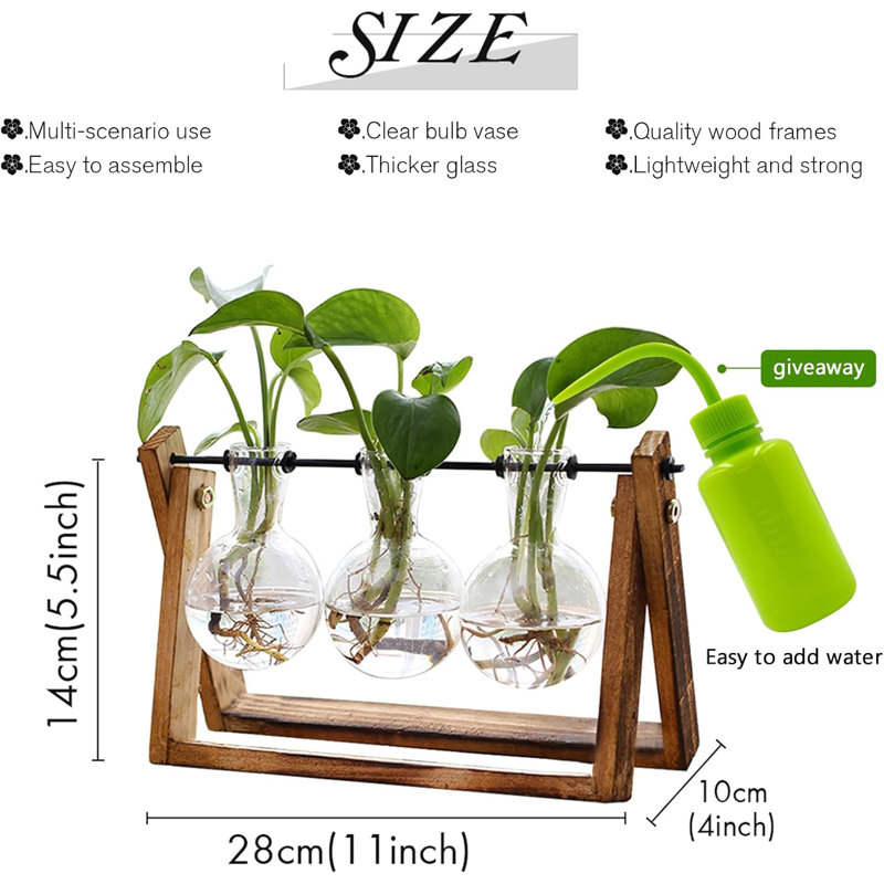 Vase en verre à 3 ampoules Plant Terrarium