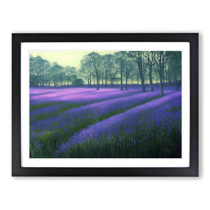 Special Bluebell Field - Single Picture Frame Print, 46cm H x 64cm W x 2cm D, Black