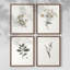 «Vintage Floral Print», impression encadrée CLxxvi - ensemble de 4-984176393-984176392