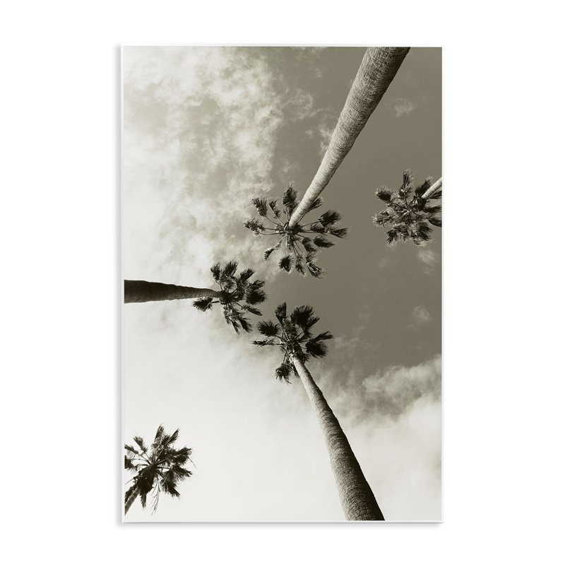 «Centric Palm Trees» par Wil Stewart, H 19 po x l 13 po
