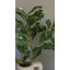 Faux Branch