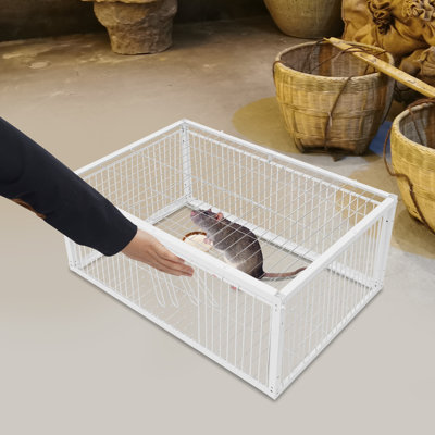 Iron Cage With One-Way Entry For Pigeon