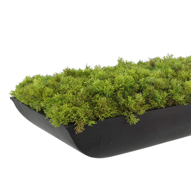 Arrangement Corder Moss In Fiberstone, Noir, H 6 po x l 22 po x P 7 po