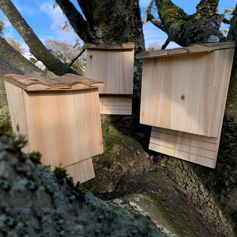 Izaguirre Mounted Bat House