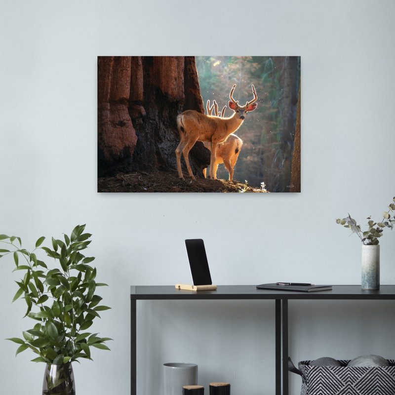 Art contemporain de cerf, séquoia, H 16 po x l 24 po
