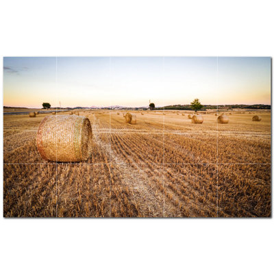 Farm Photo 4.25'' x 4.25'' Satin Ceramic Decorative Mural