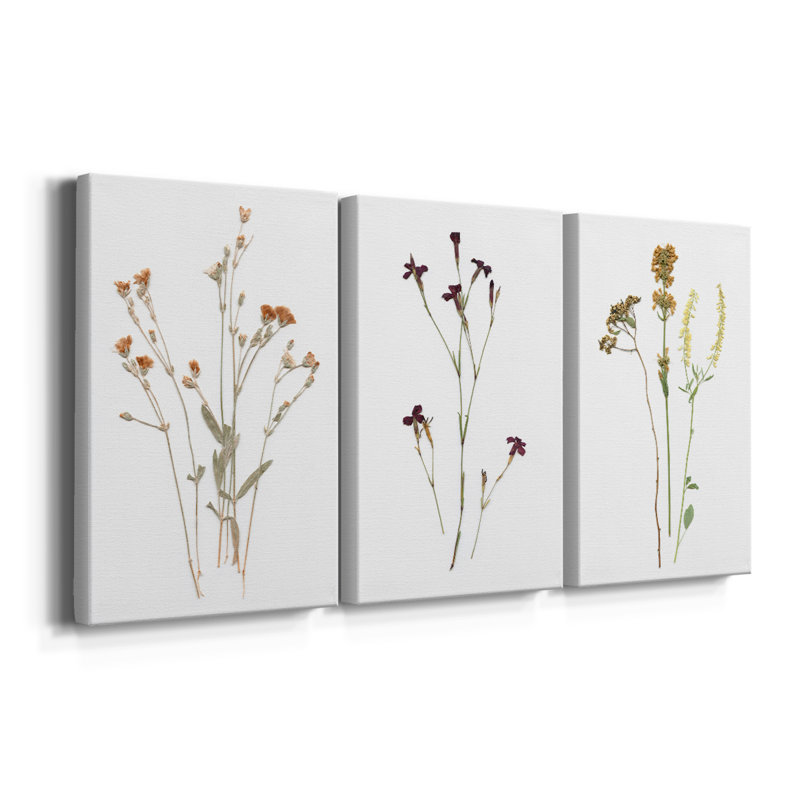 Pressed Botanical I - Toile tendue avec châssis sur mesure - 3 pièces, H 12 po x l 24 po