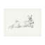 «August Grove® Ethan Harper Hare Pencil Study I», art mural-810344980
