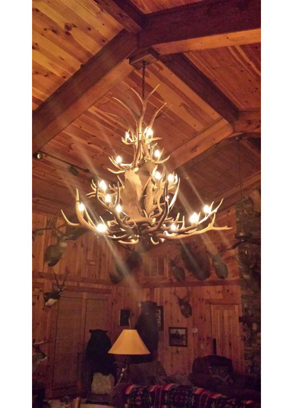 Knowles 20 - Light Chandelier