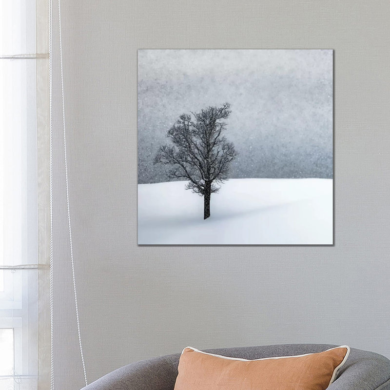 Lonely Tree Idyllic Winterlandscape by Melanie Viola - Wrapped Canvas Gallery-Wrapped Canvas Giclée, 30.48 cm H x 30.48 cm W