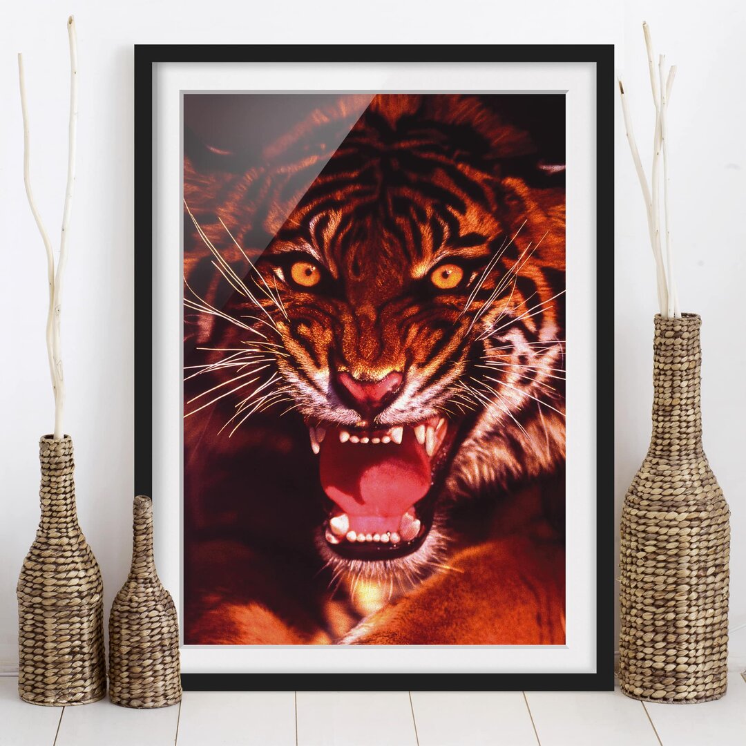 Gerahmtes Poster Wild Tiger