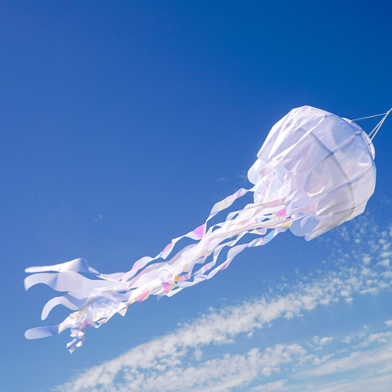Manche à air en méduse irisée 3D, Blanc, H 54 po x l 15 po