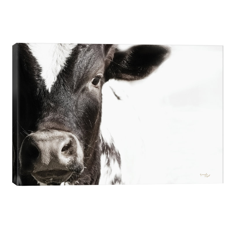 Cow VII by Jennifer Pugh - Wrapped Canvas Print, 66.04 cm H x 45.72 cm W x 1.91 cm D