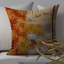 Housse de coussin carré et insert-484844948-420524107