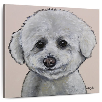 Crowle Bichon Frise Cassie