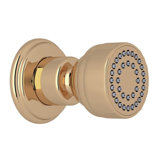 Adjustable Shower Head