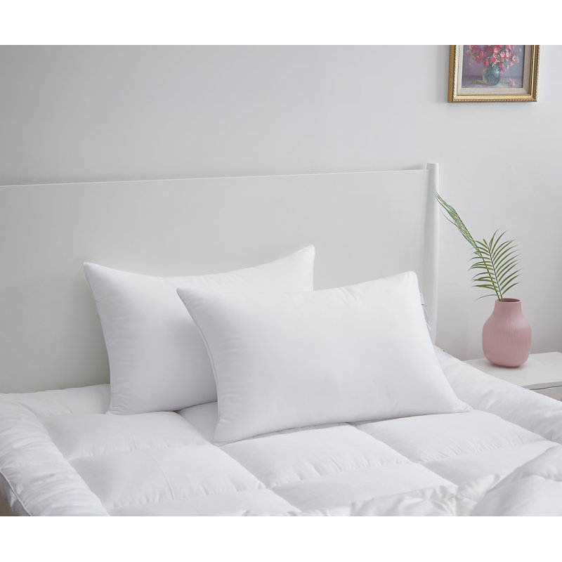 Bronaugh Polyester Plush Pillow, Standard