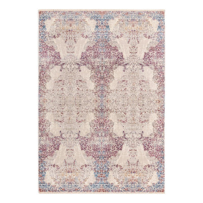 Oriental Indoor Rug