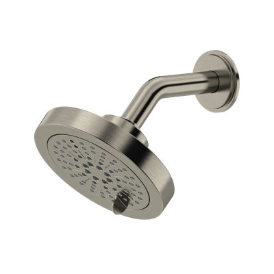 5" 6-Function Showerhead With Arm