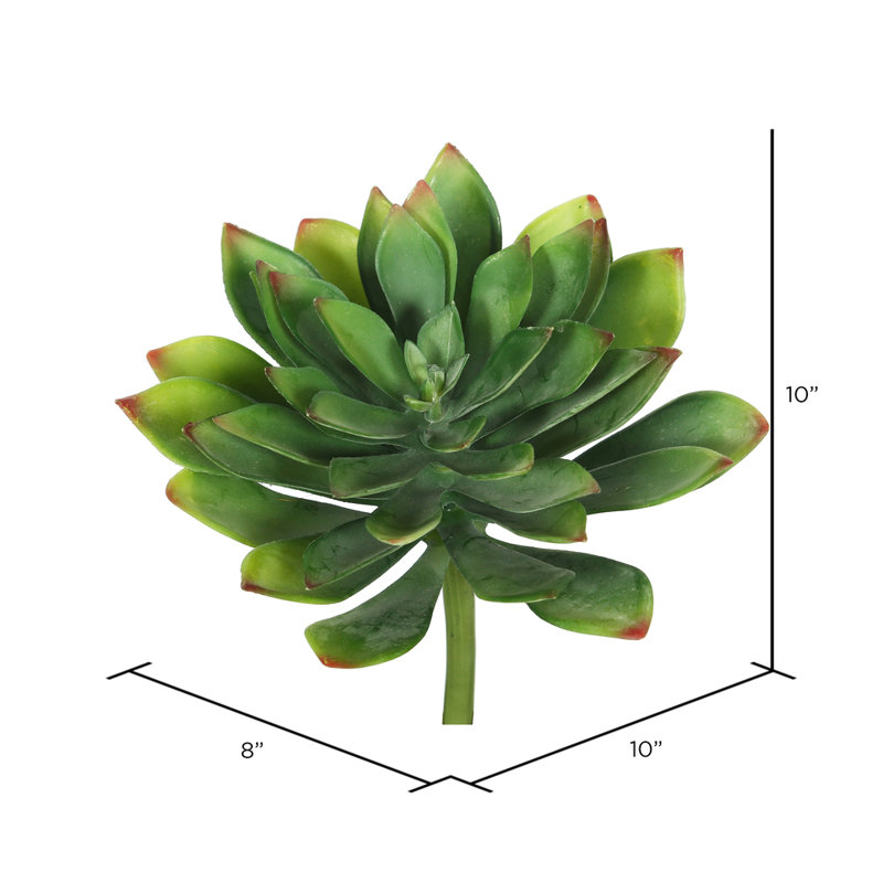 10'' Faux Succulent