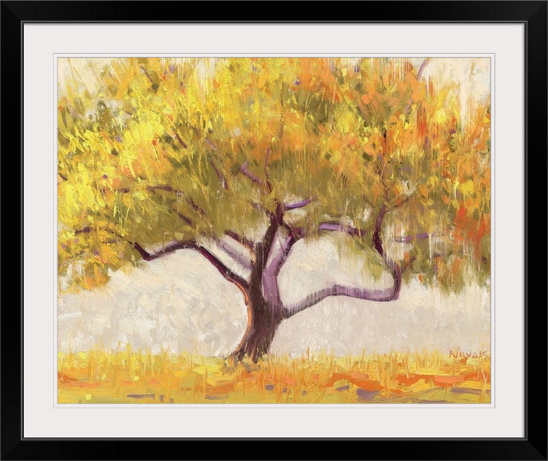 « abricot tree » par shirley novak, reproduction d’art, H 20 po x l 23 po x P 1 po, Cadre noir