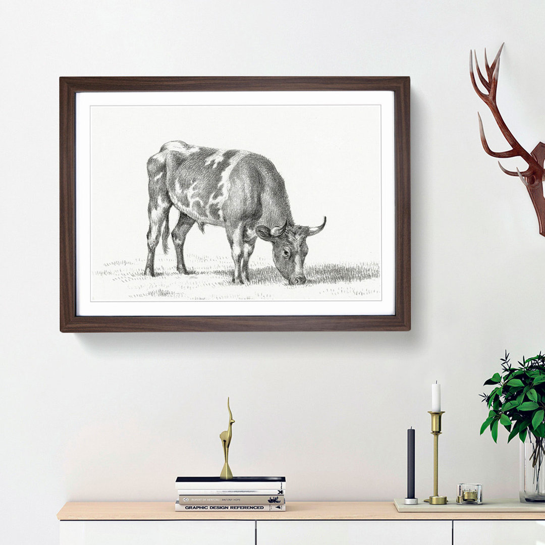 Grazing Bull by Jean Bernard - Picture Frame Drawing Print