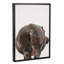 Art hippopotame-49839939-49839938