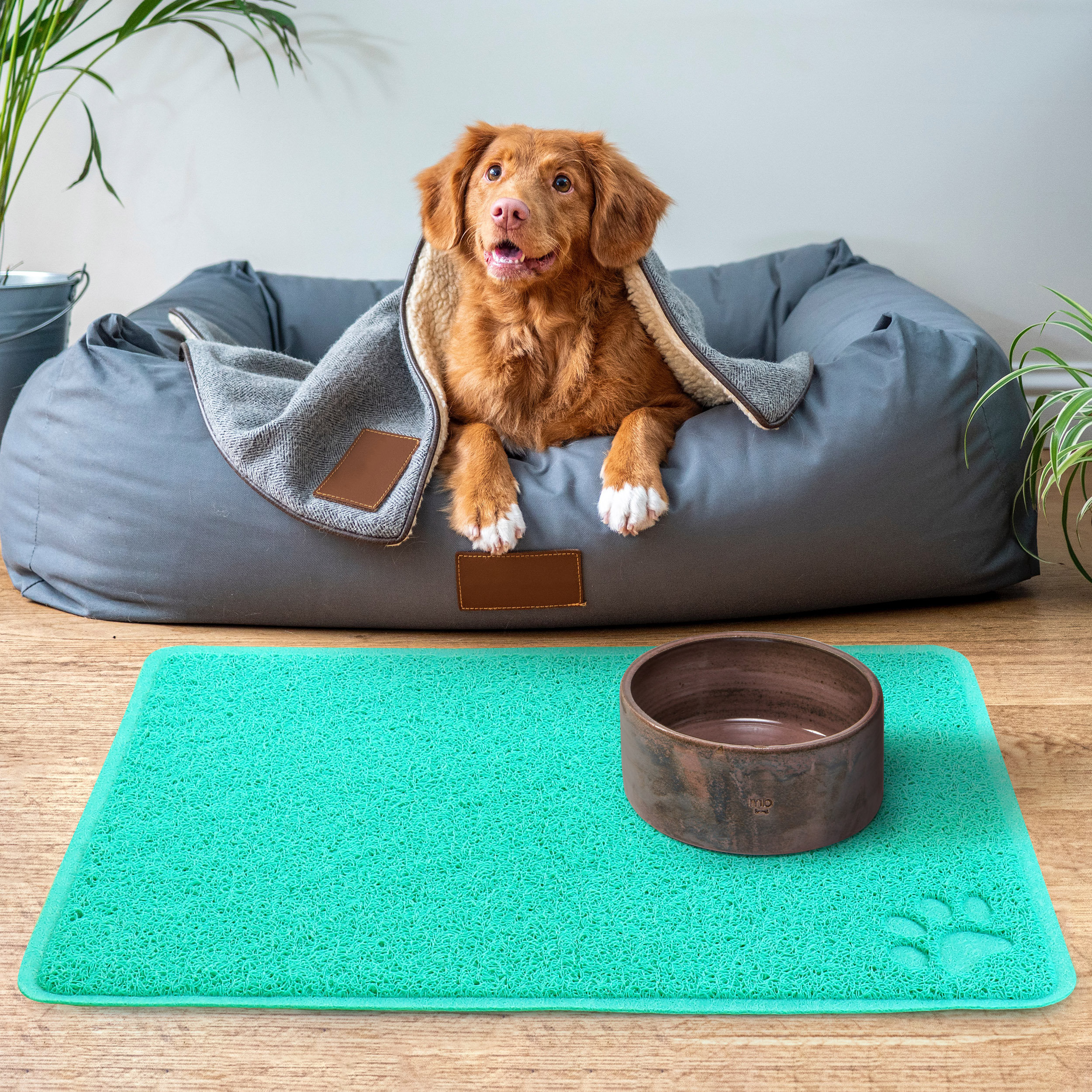 https://assets.wfcdn.com/im/51695192/compr-r85/2055/205591383/gibson-everyday-pet-elements-236-x-1575-inch-paw-print-placemat-in-turquoise.jpg