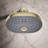 StatementOval Multifunction Showerhead with Katalyst Air-Induction Technology-740885201