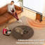 Belfry Heating Kasandra 9281 BTU Electric Wall Mounted Space Heater with Adjustable Thermostat
