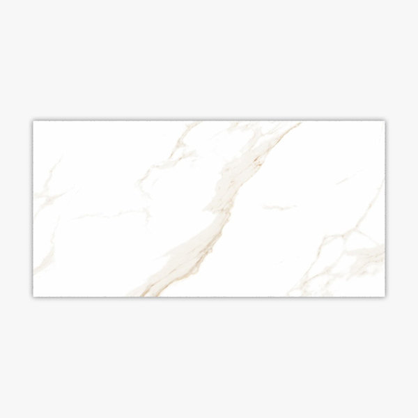 24" x 48" Porcelain Stone Look Wall & Floor Tile
