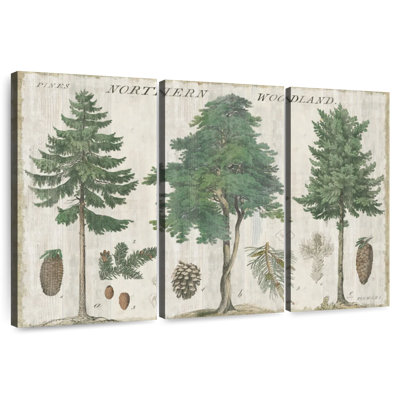Carte Harnek Woodland I