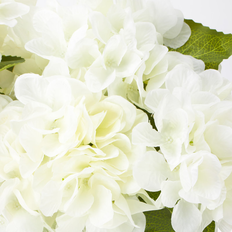Hydrangea Arrangement
