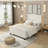 Bed Frame with High Back Upholstered Headboard-664058343-664058336