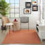 Solid Colour Indoor / Outdoor Area Rug-1680261776