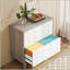 Classeur latéral à 2 tiroirs avec rangement spacieux, fabrication durable et format polyvalent format A4 / lettre / format légal pour la maison et le bureau