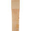 Attelle de genou Westlake-29310041-31230611-31230159