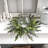 Candelabrum Arrangement