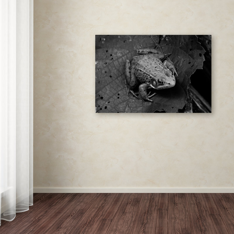 Northern Green Frog Horizontal Canvas Print with Wood Frame