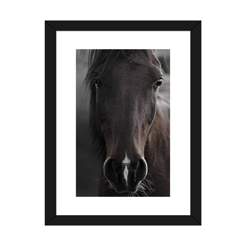 Imprimé cheval foncé par Monika Strigel, H 32 po x l 24 po x P 1 po, Papier encadré noir, Blanc