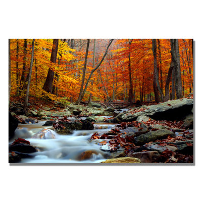 Wrapped Canvas Wall Art - CATeyes 'Ultimate Truth' Wall Art for Living Room, Bedroom, or Office Décor - 16x24