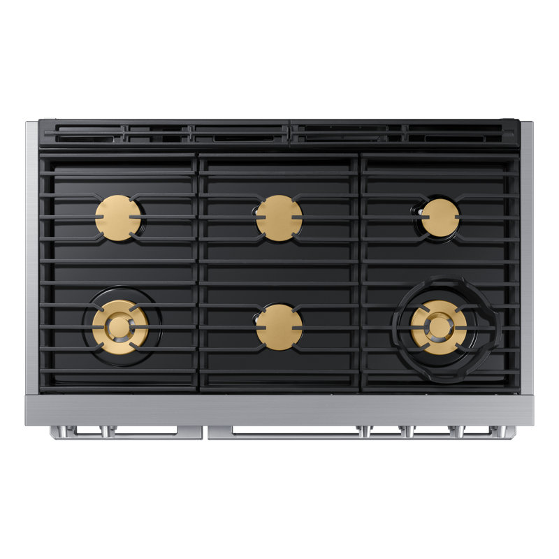 48" Pro-Range 6 Burners, Transitional, Silver, Dual Fuel
