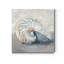 «Blue Shell Study I», reproduction sur toile tendue-1274156304